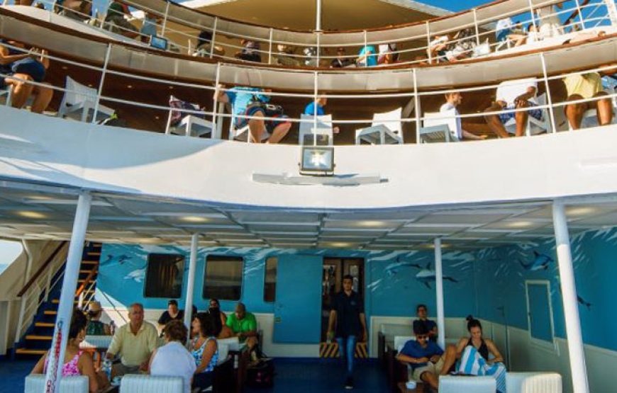 Cruise Islands Daily Group Tour