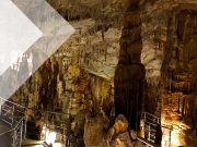 Kοutοuki Cave Private Tour. Tours in Athens Greece. Find the best tours and activities in Athens for 2022. Day tours from Athens. Day Trips. Day Tours. Book Now