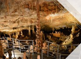 Kοutοuki Cave Group Tour. Tours From Athens Greece. Find the best tours and activities in Athens for 2022. Day tours from Athens. Day Trips. Day Tours